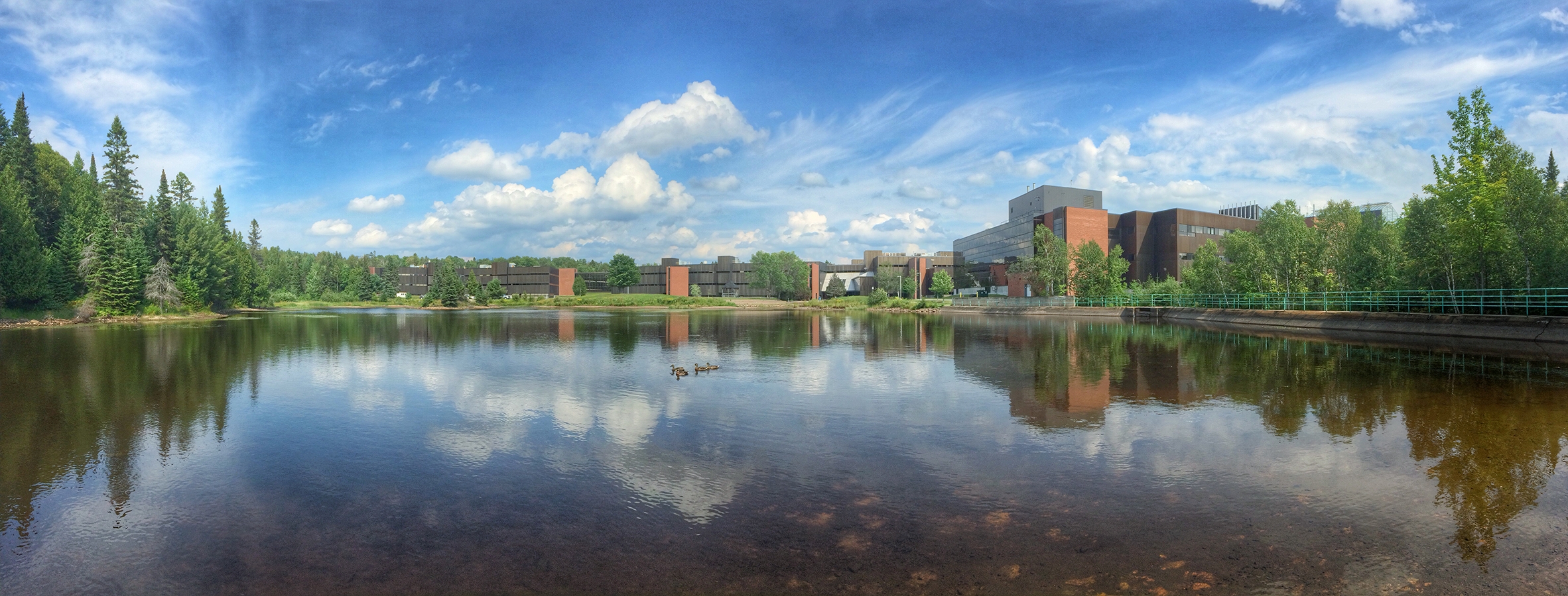 Nipissing University Pond with many trees and blue cloudy skies.